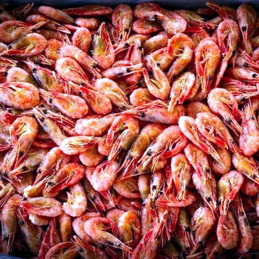 Креветки северные